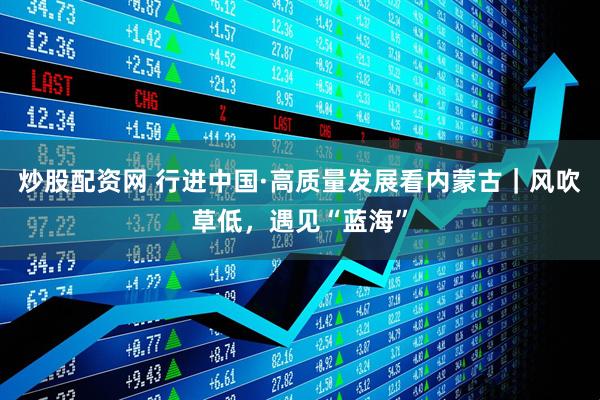 炒股配资网 行进中国·高质量发展看内蒙古｜风吹草低，遇见“蓝海”