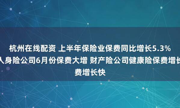 杭州在线配资 上半年保险业保费同比增长5.3%：人身险公司6月份保费大增 财产险公司健康险保费增长快