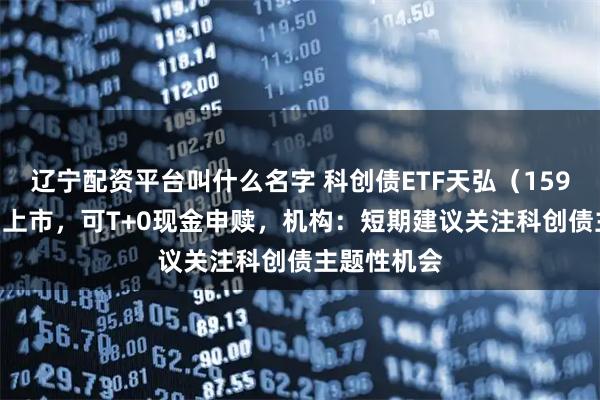 辽宁配资平台叫什么名字 科创债ETF天弘（159111）明日上市，可T+0现金申赎，机构：短期建议关注科创债主题性机会