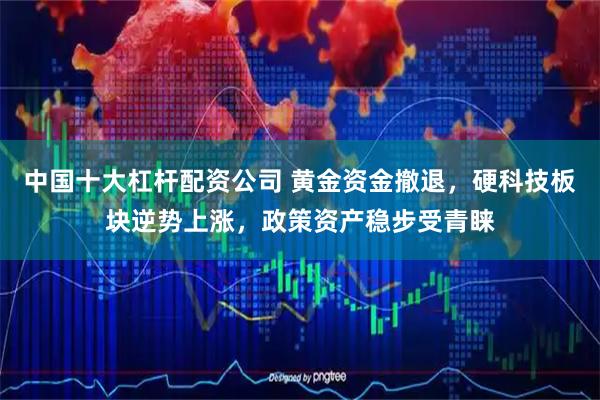 中国十大杠杆配资公司 黄金资金撤退，硬科技板块逆势上涨，政策资产稳步受青睐
