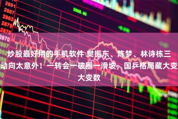 炒股最好用的手机软件 樊振东、陈梦、林诗栋三人动向太意外！一转会一破圈一滑坡，国乒格局藏大变数